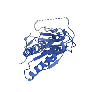 9259_6mux_N_v1-4
The structure of the Plasmodium falciparum 20S proteasome in complex with one PA28 activator