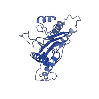 9259_6mux_O_v1-4
The structure of the Plasmodium falciparum 20S proteasome in complex with one PA28 activator