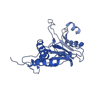 9259_6mux_P_v1-3
The structure of the Plasmodium falciparum 20S proteasome in complex with one PA28 activator