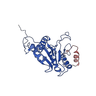 9259_6mux_Q_v1-3
The structure of the Plasmodium falciparum 20S proteasome in complex with one PA28 activator
