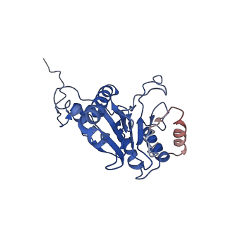 9259_6mux_Q_v1-4
The structure of the Plasmodium falciparum 20S proteasome in complex with one PA28 activator