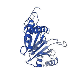 9259_6mux_R_v1-3
The structure of the Plasmodium falciparum 20S proteasome in complex with one PA28 activator