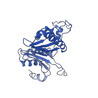 9259_6mux_S_v1-4
The structure of the Plasmodium falciparum 20S proteasome in complex with one PA28 activator