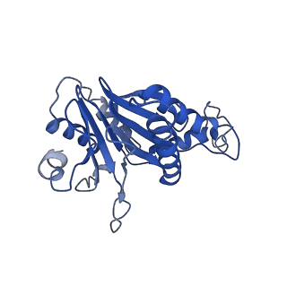 9259_6mux_T_v1-4
The structure of the Plasmodium falciparum 20S proteasome in complex with one PA28 activator