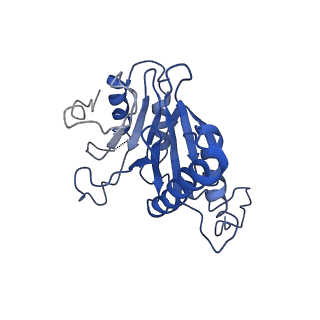 9259_6mux_U_v1-4
The structure of the Plasmodium falciparum 20S proteasome in complex with one PA28 activator