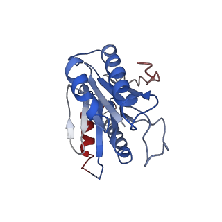 9259_6mux_V_v1-3
The structure of the Plasmodium falciparum 20S proteasome in complex with one PA28 activator