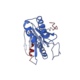 9259_6mux_V_v1-4
The structure of the Plasmodium falciparum 20S proteasome in complex with one PA28 activator