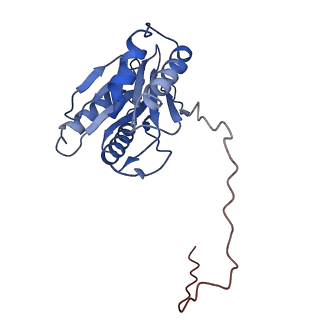 9259_6mux_W_v1-3
The structure of the Plasmodium falciparum 20S proteasome in complex with one PA28 activator