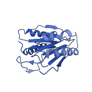 9259_6mux_X_v1-4
The structure of the Plasmodium falciparum 20S proteasome in complex with one PA28 activator