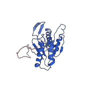 9259_6mux_Z_v1-3
The structure of the Plasmodium falciparum 20S proteasome in complex with one PA28 activator