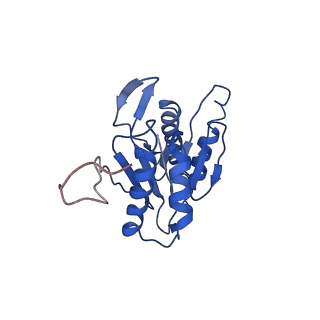 9259_6mux_Z_v1-4
The structure of the Plasmodium falciparum 20S proteasome in complex with one PA28 activator