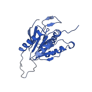 9259_6mux_a_v1-4
The structure of the Plasmodium falciparum 20S proteasome in complex with one PA28 activator