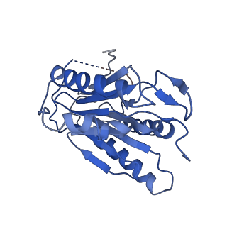 9259_6mux_b_v1-4
The structure of the Plasmodium falciparum 20S proteasome in complex with one PA28 activator