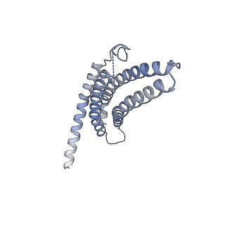 9259_6mux_c_v1-3
The structure of the Plasmodium falciparum 20S proteasome in complex with one PA28 activator