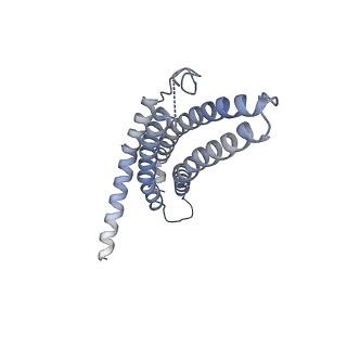 9259_6mux_c_v1-4
The structure of the Plasmodium falciparum 20S proteasome in complex with one PA28 activator