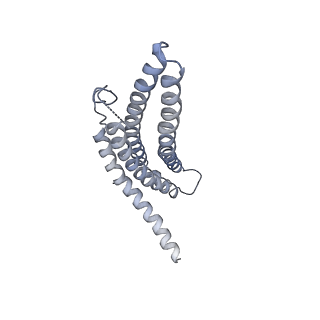 9259_6mux_d_v1-4
The structure of the Plasmodium falciparum 20S proteasome in complex with one PA28 activator