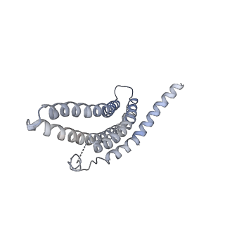 9259_6mux_f_v1-4
The structure of the Plasmodium falciparum 20S proteasome in complex with one PA28 activator