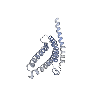 9259_6mux_g_v1-3
The structure of the Plasmodium falciparum 20S proteasome in complex with one PA28 activator