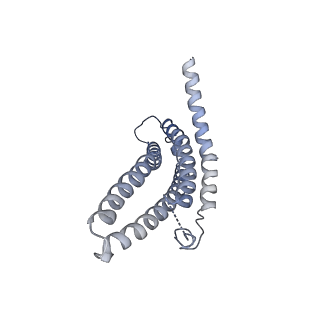 9259_6mux_g_v1-4
The structure of the Plasmodium falciparum 20S proteasome in complex with one PA28 activator