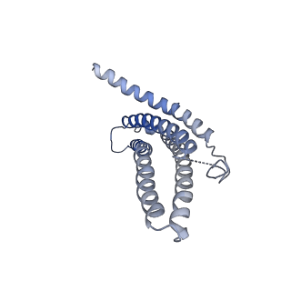 9259_6mux_h_v1-3
The structure of the Plasmodium falciparum 20S proteasome in complex with one PA28 activator