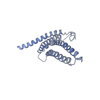 9259_6mux_i_v1-4
The structure of the Plasmodium falciparum 20S proteasome in complex with one PA28 activator