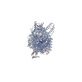 24056_7mvu_A_v1-1
Single particle cryo-EM structure of the Chaetomium thermophilum Nup192-Nic96 complex (Nup192 residues 1-1756; Nic96 residues 240-301)