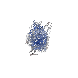24057_7mvv_A_v1-1
Single particle cryo-EM structure of the Chaetomium thermophilum Nup192-Nic96-Nup53-Nup145N complex (Nup192 residues 1-1756; Nic96 residues 240-301; Nup53 31-67; Nup145N 616-683)
