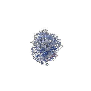 24059_7mvz_A_v1-1
Single particle cryo-EM structure of the Chaetomium thermophilum Nup188-Nic96-Nup145N complex (Nup188 residues 1-1858; Nic96 residues 240-301; Nup145N residues 640-732)