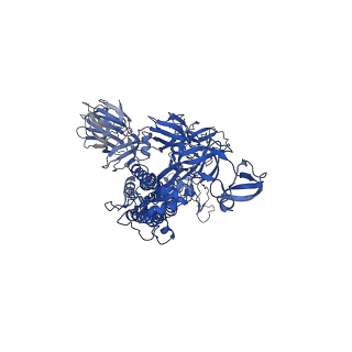 24061_7mw3_A_v1-1
Structure of the SARS-CoV-2 Spike trimer with two RBDs down in complex with the Fab fragment of human neutralizing antibody clone 6