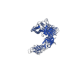 24061_7mw3_C_v1-1
Structure of the SARS-CoV-2 Spike trimer with two RBDs down in complex with the Fab fragment of human neutralizing antibody clone 6