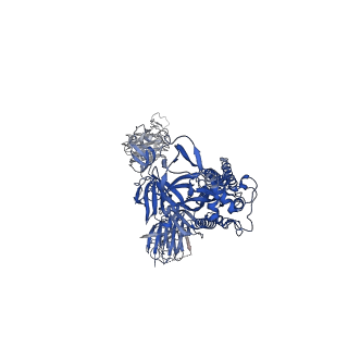 24062_7mw4_C_v1-1
Structure of the SARS-CoV-2 Spike trimer with one RBD down in complex with the Fab fragment of human neutralizing antibody clone 6