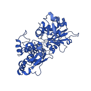4117_5mw1_F_v1-2
cryoEM structure of crenactin double helical filament at 3.8A resolution