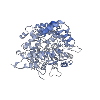 9272_6mw3_C_v1-2
EM structure of Bacillus subtilis ribonucleotide reductase inhibited filament composed of NrdE alpha subunit and NrdF beta subunit with dATP