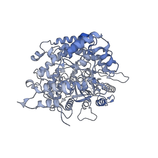 9272_6mw3_C_v1-3
EM structure of Bacillus subtilis ribonucleotide reductase inhibited filament composed of NrdE alpha subunit and NrdF beta subunit with dATP