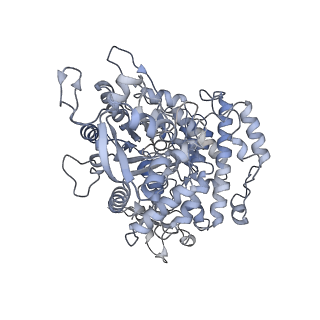 9272_6mw3_D_v1-2
EM structure of Bacillus subtilis ribonucleotide reductase inhibited filament composed of NrdE alpha subunit and NrdF beta subunit with dATP