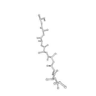 9272_6mw3_I_v1-2
EM structure of Bacillus subtilis ribonucleotide reductase inhibited filament composed of NrdE alpha subunit and NrdF beta subunit with dATP