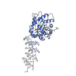 9277_6mwq_A_v1-3
Single particle cryoEM structure of a DARPin-aldolase platform in complex with GFP