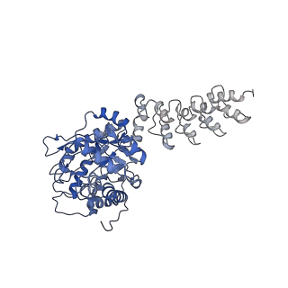 9277_6mwq_C_v1-3
Single particle cryoEM structure of a DARPin-aldolase platform in complex with GFP