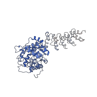 9277_6mwq_C_v1-4
Single particle cryoEM structure of a DARPin-aldolase platform in complex with GFP