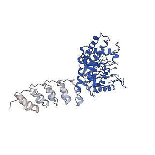 9277_6mwq_D_v1-3
Single particle cryoEM structure of a DARPin-aldolase platform in complex with GFP
