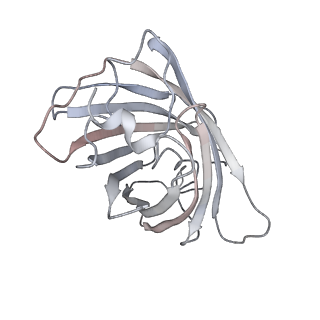 9277_6mwq_G_v1-4
Single particle cryoEM structure of a DARPin-aldolase platform in complex with GFP