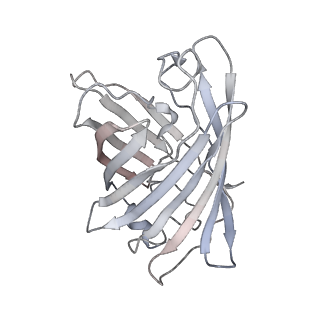 9277_6mwq_H_v1-3
Single particle cryoEM structure of a DARPin-aldolase platform in complex with GFP