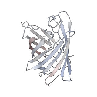 9277_6mwq_H_v1-4
Single particle cryoEM structure of a DARPin-aldolase platform in complex with GFP