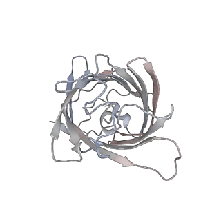 9277_6mwq_I_v1-4
Single particle cryoEM structure of a DARPin-aldolase platform in complex with GFP