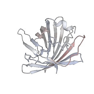 9277_6mwq_J_v1-4
Single particle cryoEM structure of a DARPin-aldolase platform in complex with GFP