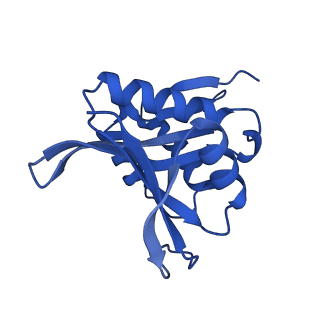 24070_7mx2_A_v1-1
Cryo-EM structure of human ternary NatC complex with a Bisubstrate inhibitor