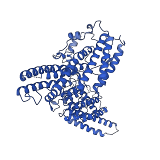 24070_7mx2_B_v1-1
Cryo-EM structure of human ternary NatC complex with a Bisubstrate inhibitor