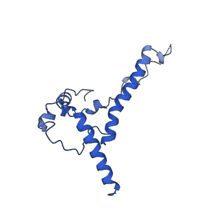 24071_7mxd_I_v1-4
Cryo-EM structure of broadly neutralizing V2-apex-targeting antibody J038 in complex with HIV-1 Env