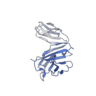 24071_7mxd_S_v1-4
Cryo-EM structure of broadly neutralizing V2-apex-targeting antibody J038 in complex with HIV-1 Env