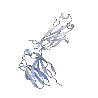 24071_7mxd_U_v1-4
Cryo-EM structure of broadly neutralizing V2-apex-targeting antibody J038 in complex with HIV-1 Env